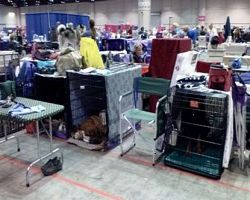 Our set up - Click for Larger View