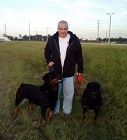 Ron walking dogs - Click for Larger View