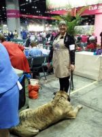 Terry before going into OH Finals ring - Click for Larger View