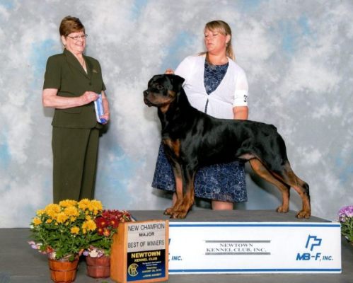 Sue going Best In OH Show on Aug 14 2015 - Click for Larger View