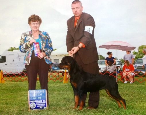 Sue going Best In OH Show on Aug 14 2015 - Click for Larger View