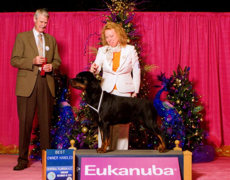 Coastie Best OH Dec 10 2015 Eukanuba - Click for Larger View