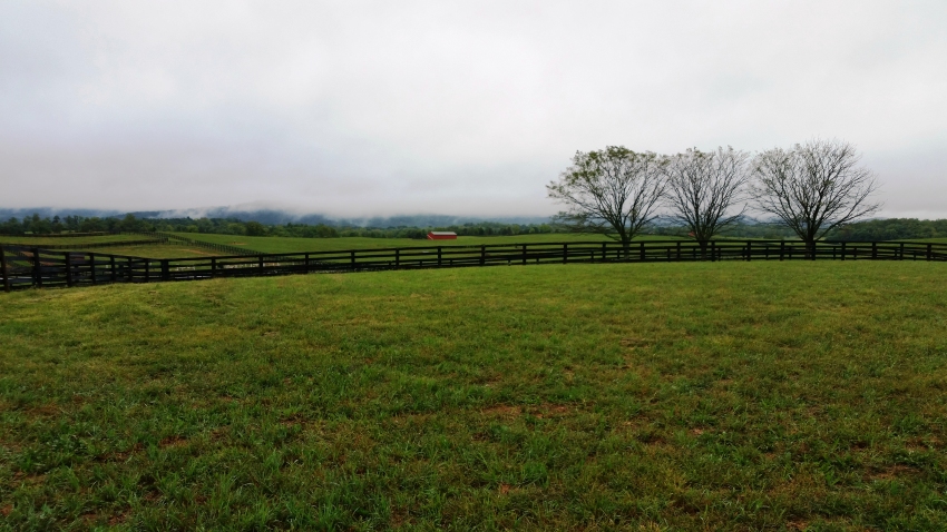 Blue Ridge Mountain Fog Millwood 2016 - Click for Larger View