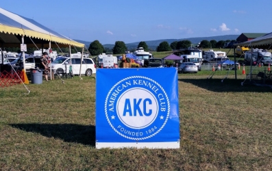 AKC Logo