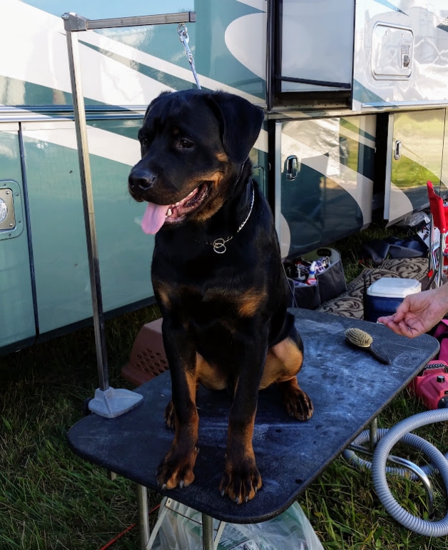 Blow dry time for Kaptain