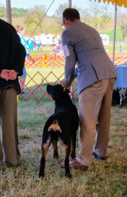 Driver 7.5 mo Oct 1 reg class  3rd