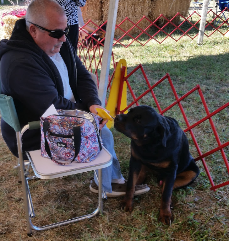 Driver learned how to drink from  the spray bottle