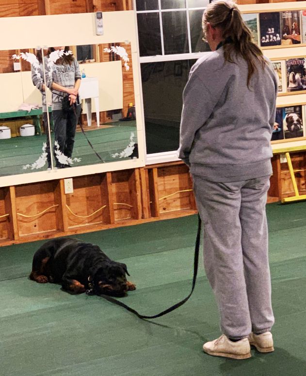 December 23, 2018 - Pawz For Wellness end of year Christmas Party - Click for Larger View