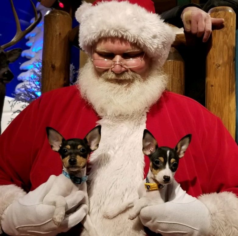 Littles w Santa 2018 - Click for Larger View