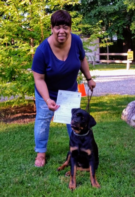 Zuri graduating STAR puppy June 19, 2018 @ 5 months old! - Click for Larger View