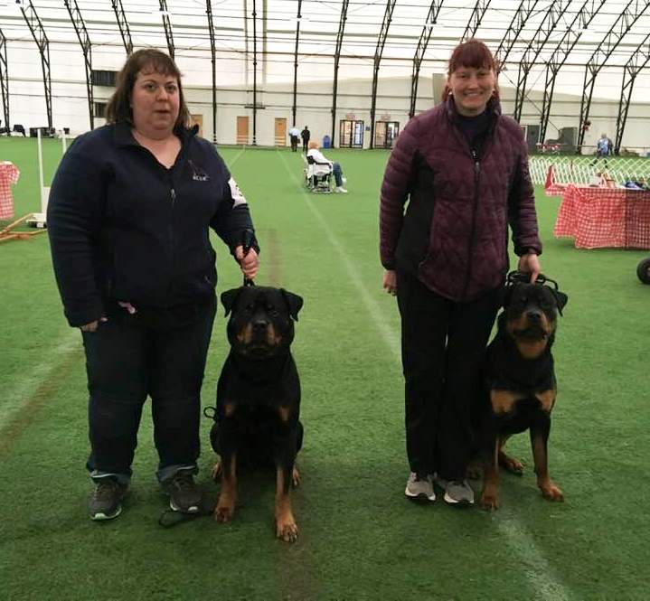 Blue and Brick new title holders - Click for Larger View