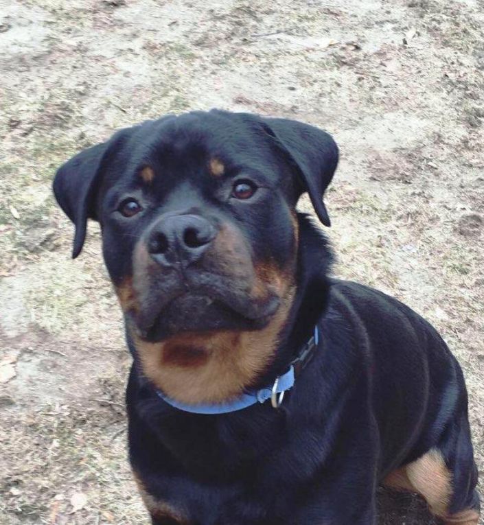 Brew @ 1 year - Click for Larger View