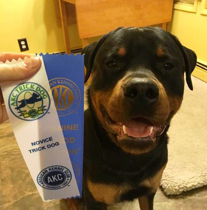 Wllslands Let it Be Lasting Foundation Brick - Click for Larger View