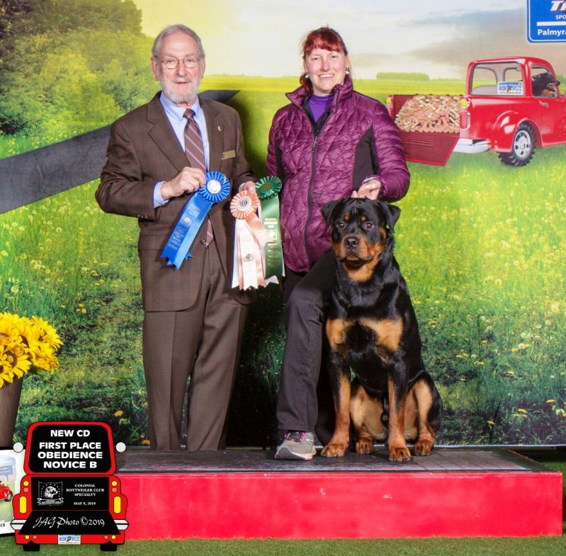 Wllslands Let it Be Lasting Foundation 'Brick' - Click for Larger View