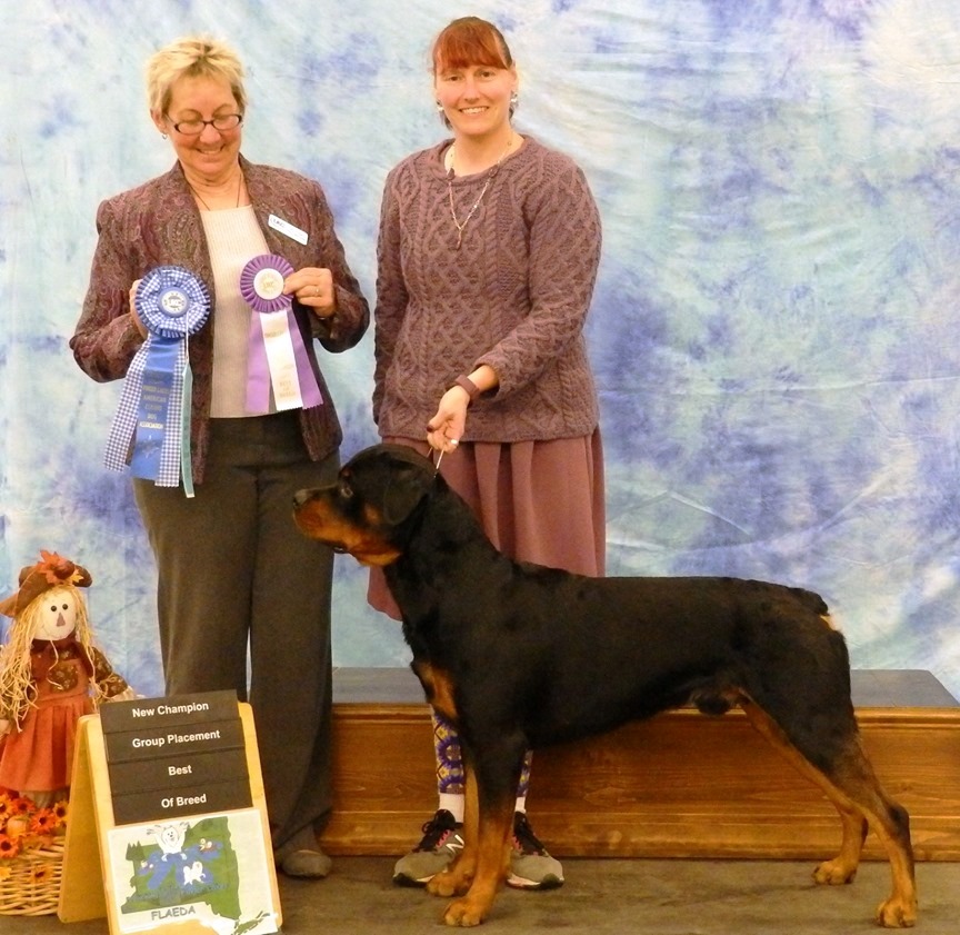 Brick earned his UKC CH going breed over a CH dog and winning a working Group 1 - Click for Larger View