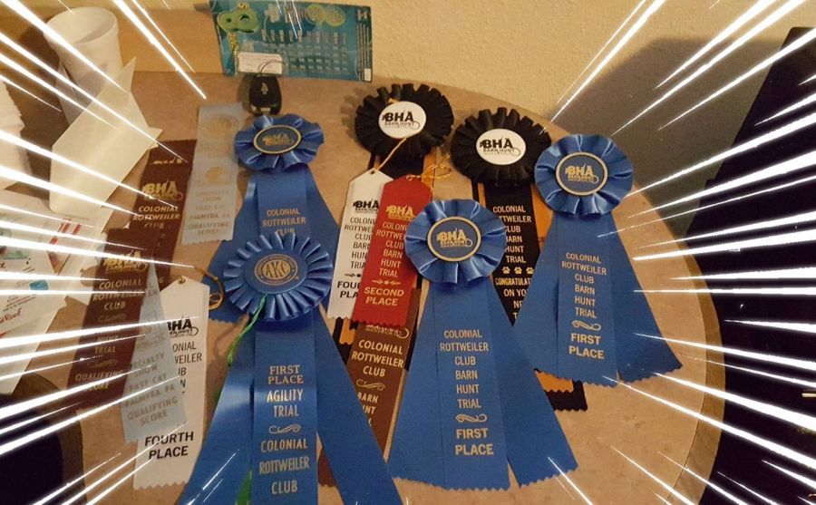 Cales, Kais, and Newts ribbons from CRC - Click for Larger View