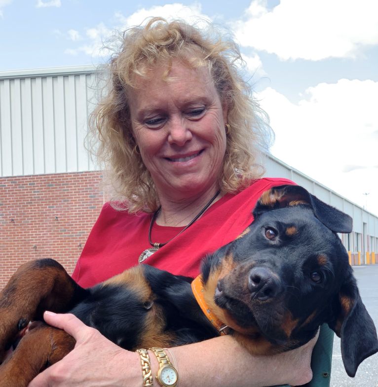 Denver @ 18 weeks - Click for Larger View