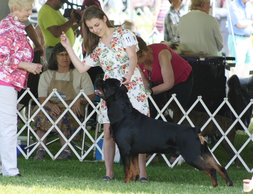 Driver - Best of Breed - Click for Larger View