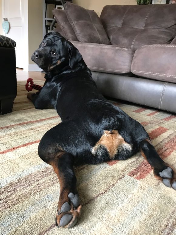 Driver @ 2 years - Click for Larger View