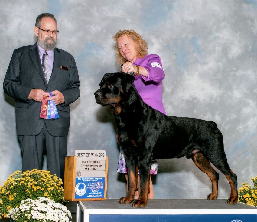 Floyd 2.5yrs 4pts - Click for Larger View