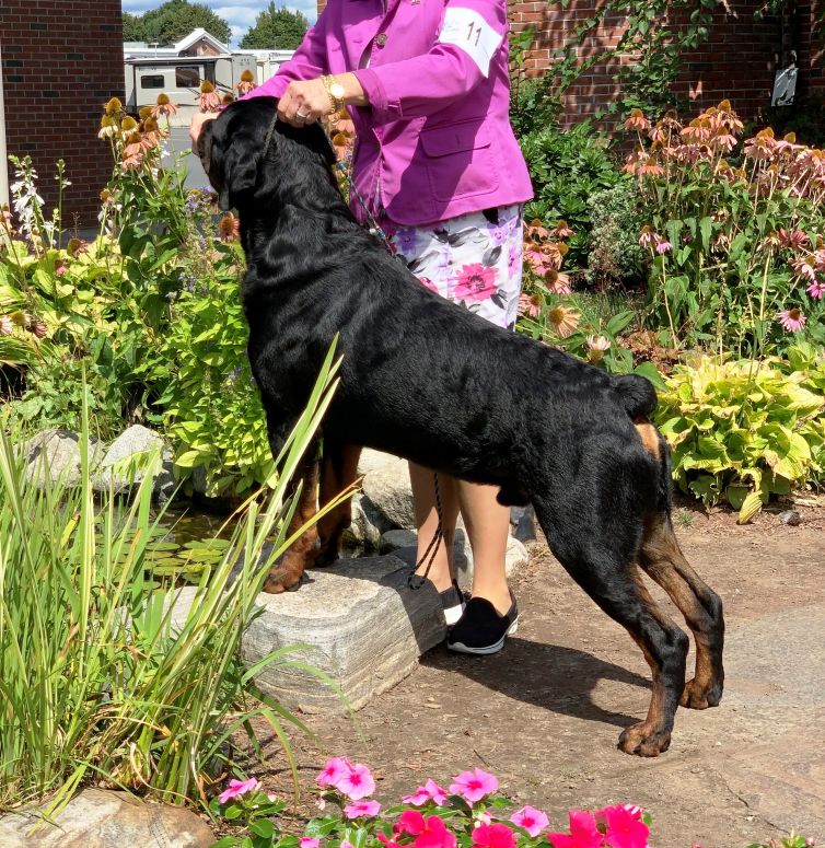 Floyd 2.5yrs - Click for Larger View