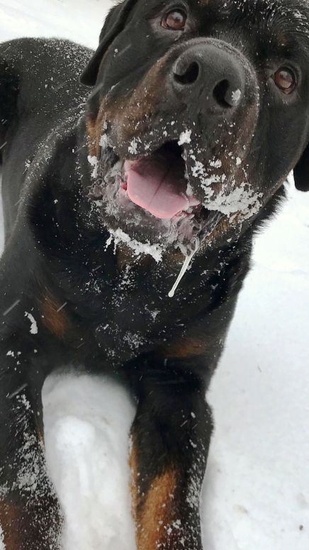 Floyd @ 2 years - Click for Larger View