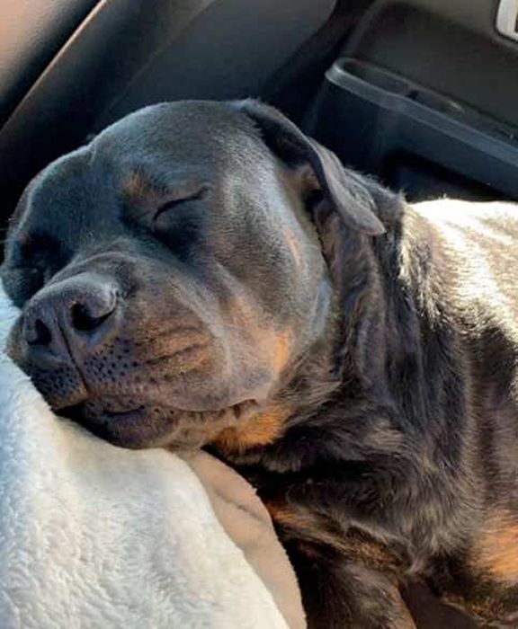 Gemma - WB/BOW/ BOBOH both days for 1 point each day - Click for Larger View