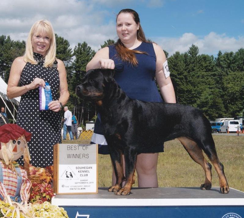 Sept 8, 2019 - Souhegan KC Wllslands Let It Be Gemma Von Orras - Click for Larger View