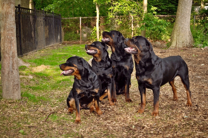 Grp pic looking at neighbors 2019