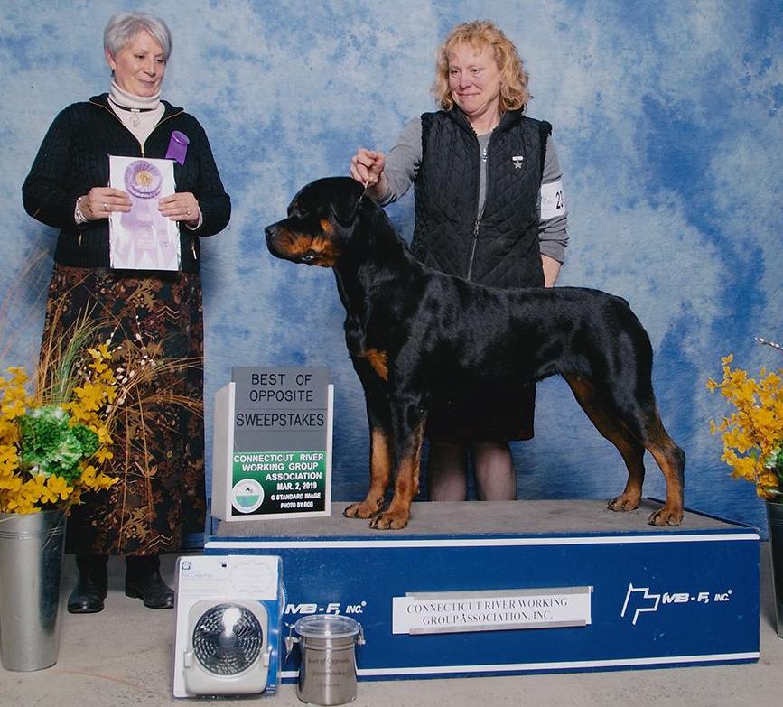 Harper Best of Opposite - Click for Larger View