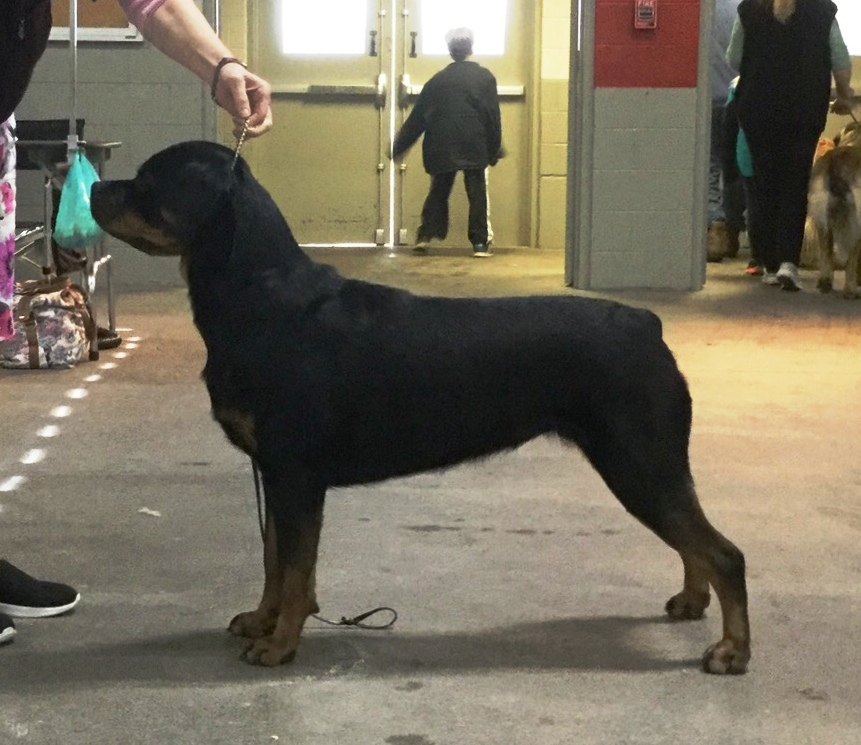 Harper @ 11 months - Click for Larger View