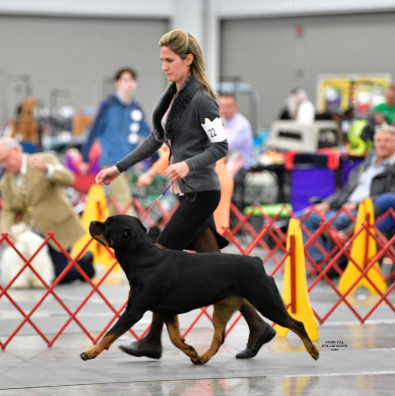 Harper - Click for Larger View