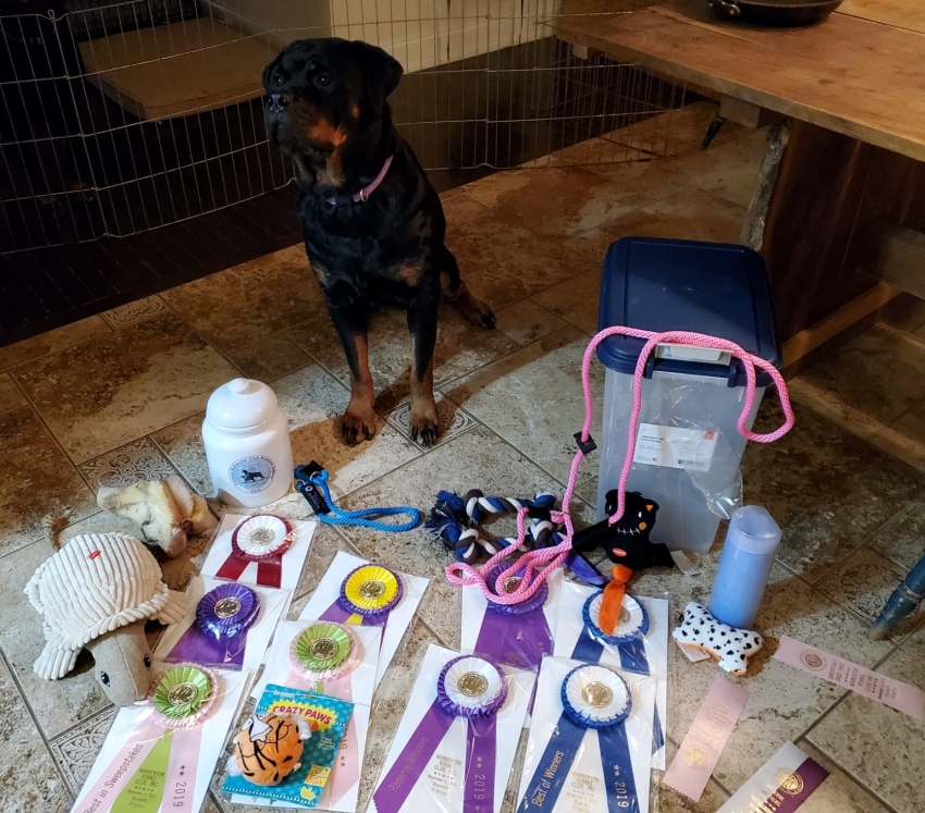 Harpers loot Doswell VA - Click for Larger View