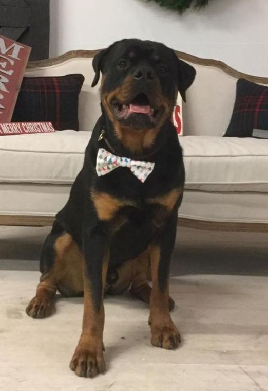 Jameson @ 1 year - Click for Larger View