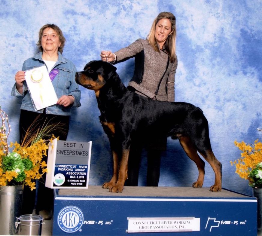 Jameson Best in Sweeps - Click for Larger View