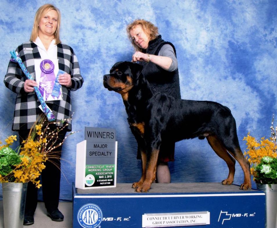 Jameson - 5 pt major! - Click for Larger View