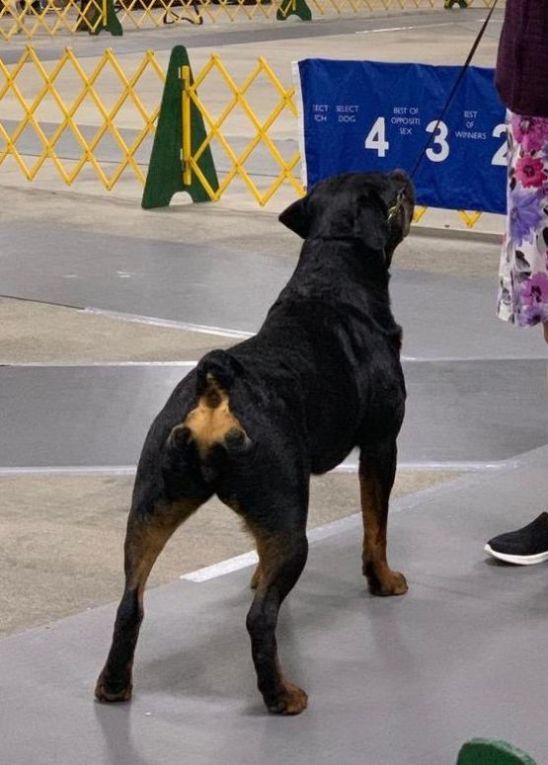 Kai @ 23 months - Click for Larger View