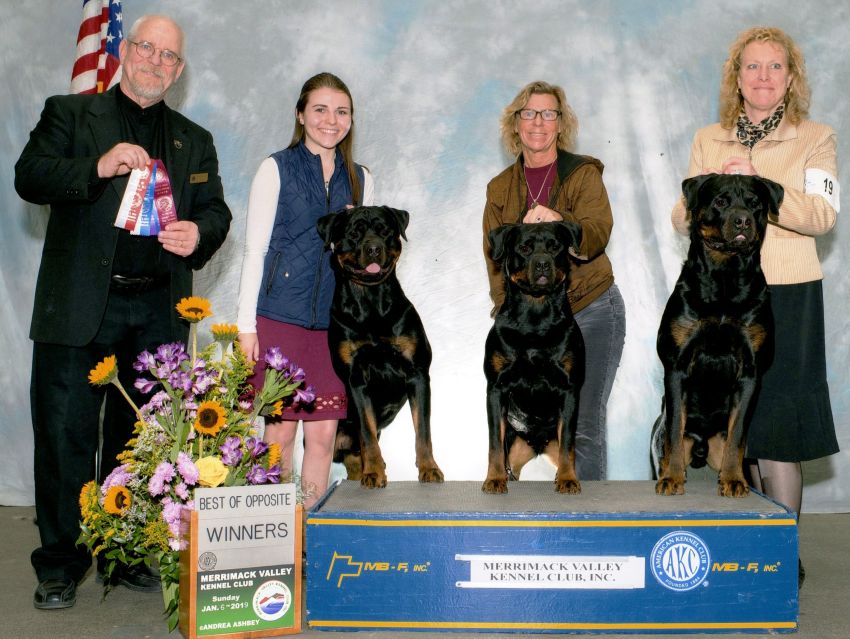 Kaptain, Driver and Kai - Click for Larger View