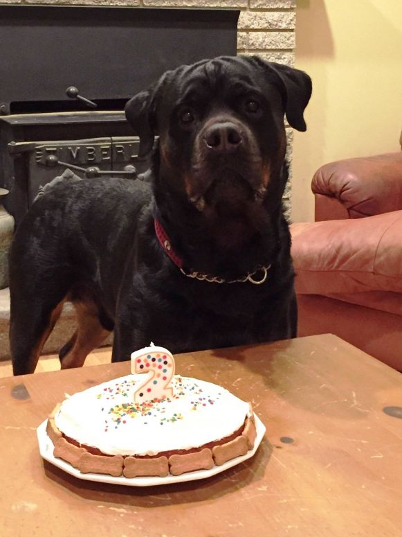 Kaptain @ 2 years - Click for Larger View