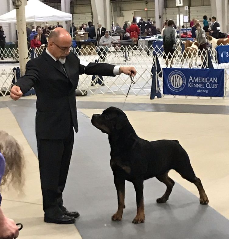 Jameson @ 12 months - Click for Larger View