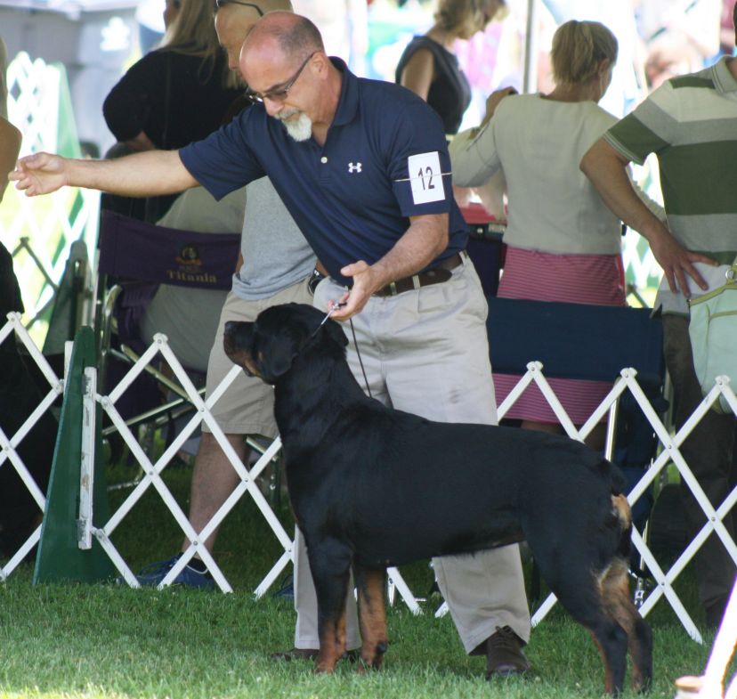 Katara - Wllslands Kween of the Realm V Bethany Farms