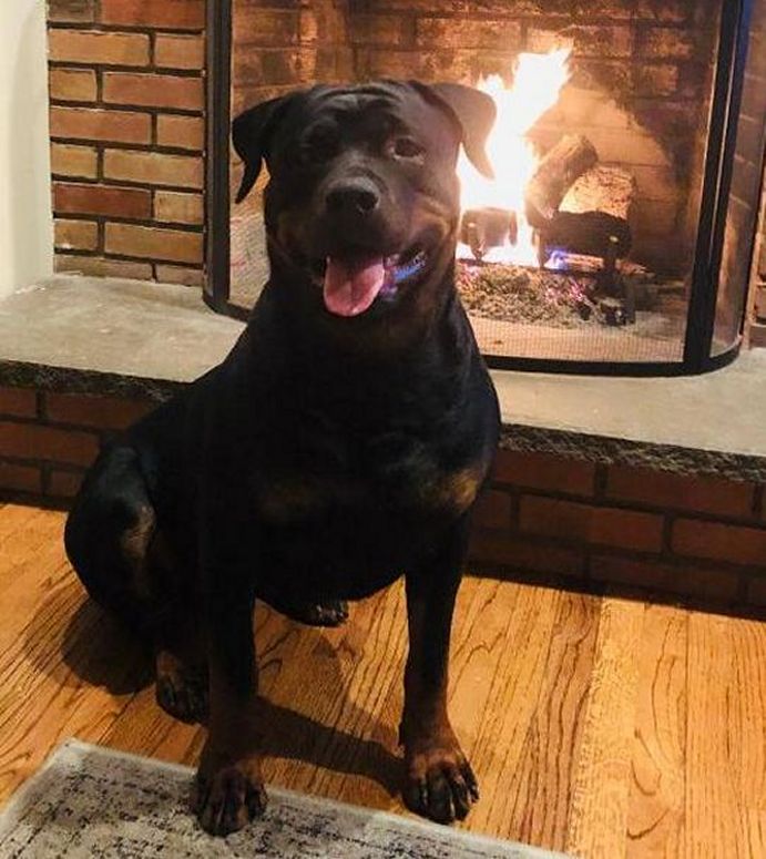 Seva @ 2 years - Click for Larger View