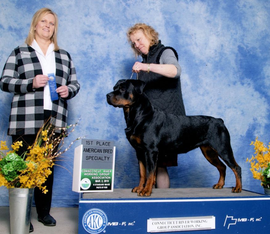 Seva 1st place AmBred bitches - Click for Larger View