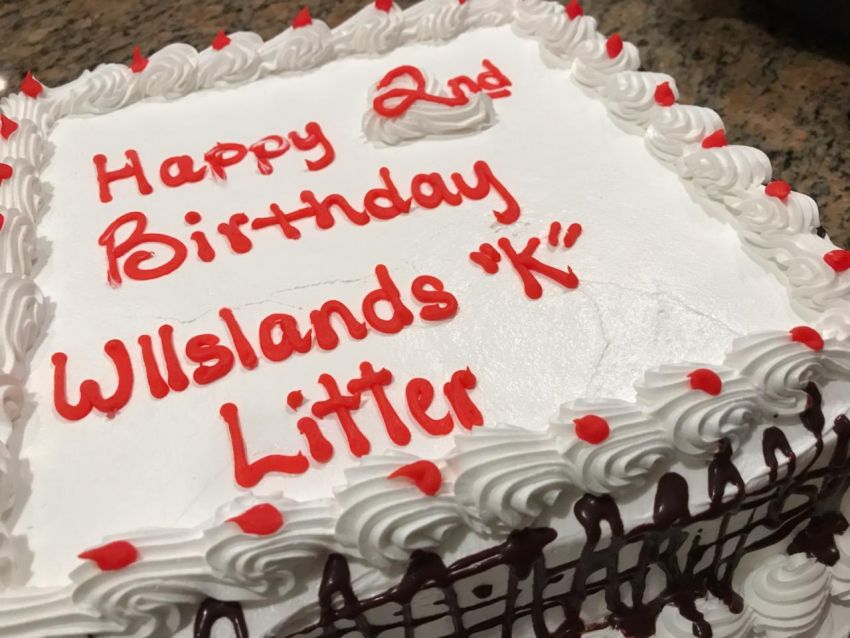 Brick @ 1 year - Click for Larger View