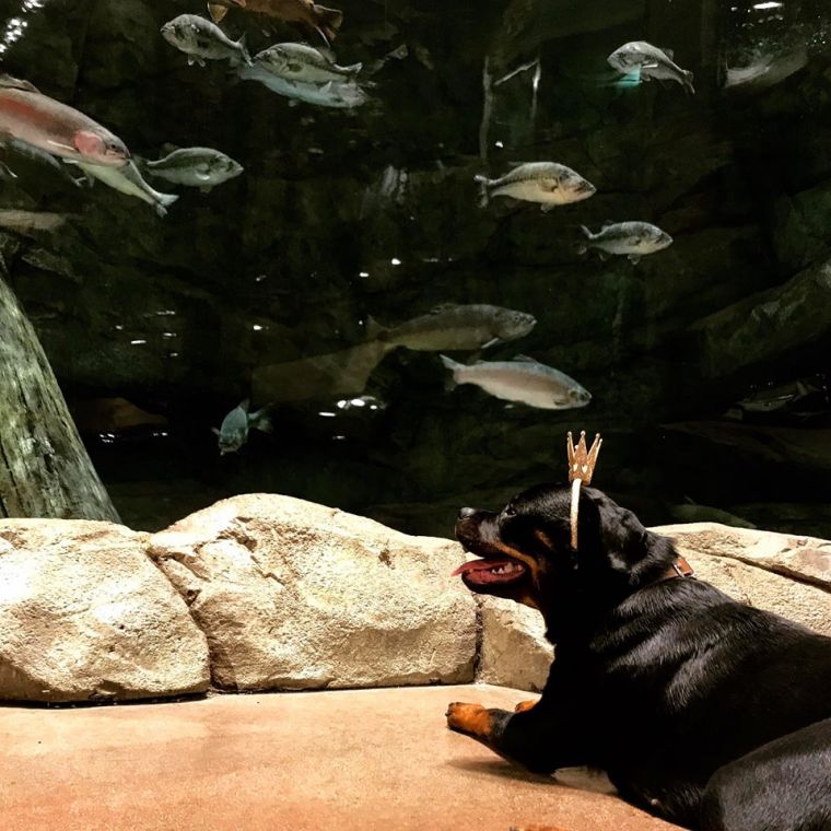 Zuri @ 1 year - Click for Larger View