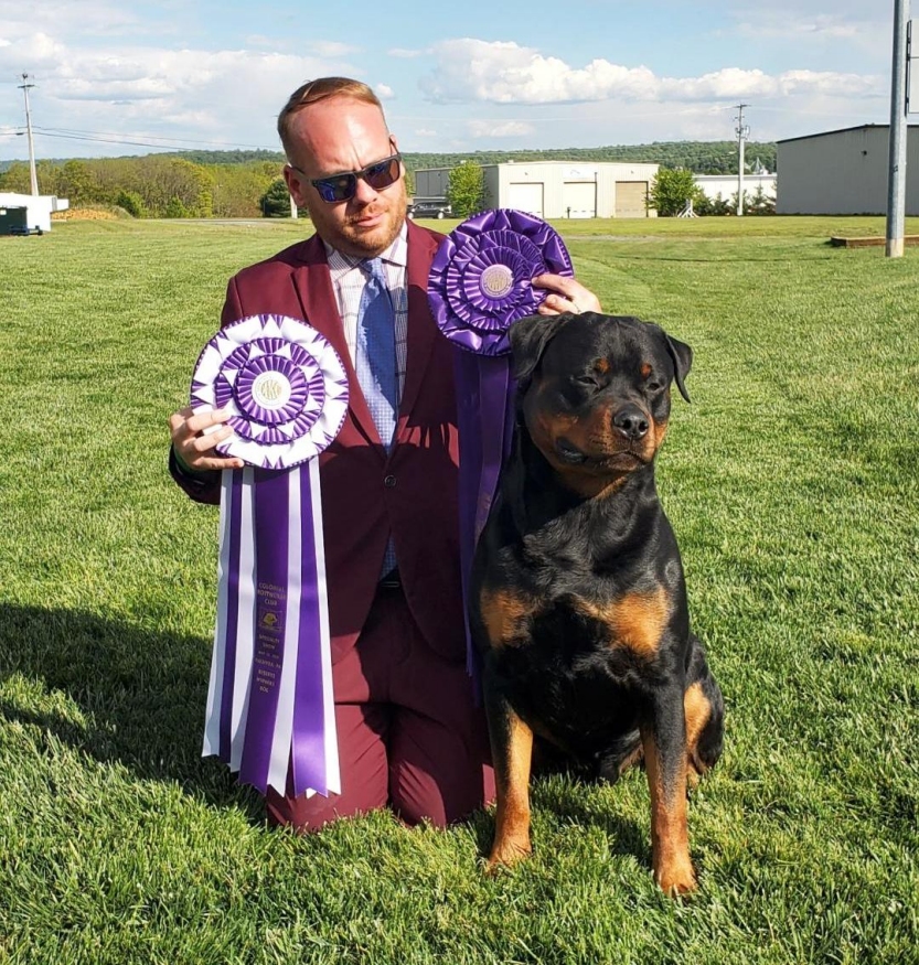 Brick earned his carting Intermediate Title going Reserve High In Trial! Then was Reserve WD one day and WD the final day at the outside show for a 5 point major! - Click for Larger View