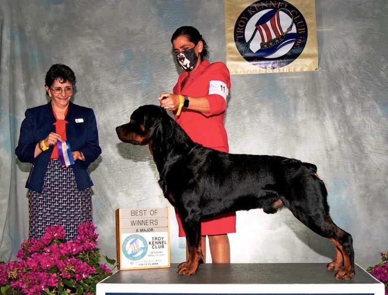 Bubbles - BOW - Click for Larger View