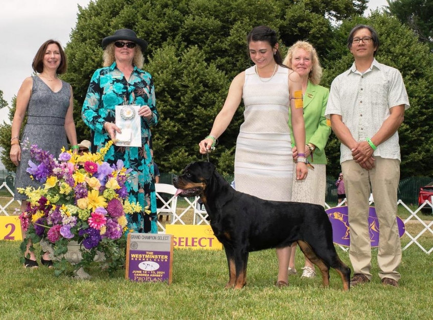 Harper AOM Select Bitch - Click for Larger View