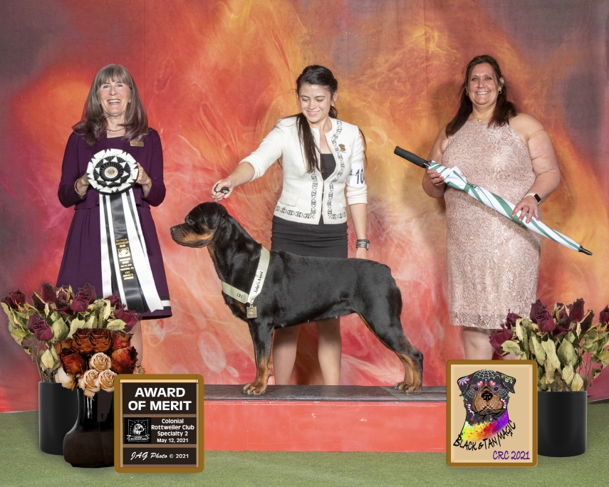 Harper AOM - Click for Larger View