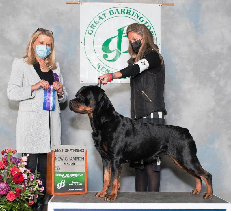 Harper - New Champion @ 3 yrs - Click for Larger View